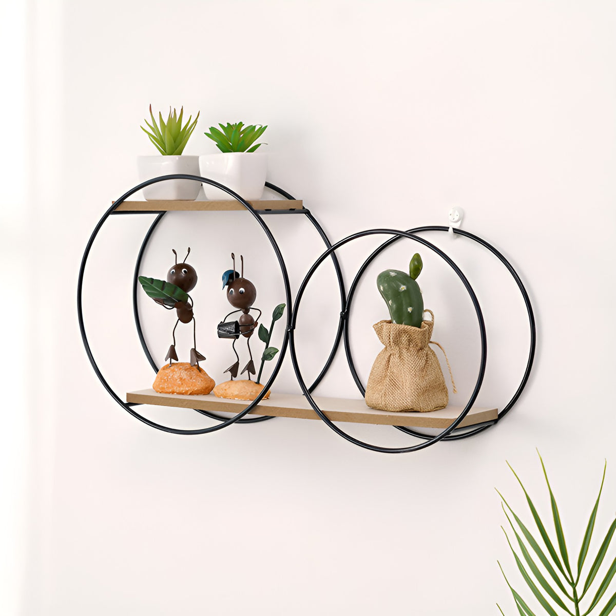 Two overlapping round black iron wall shelves with wood shelves holding small plants on a white wall